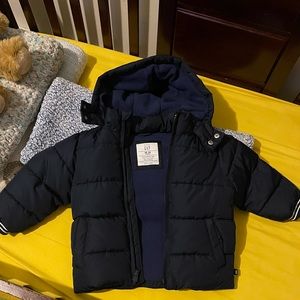 Navy Blue Gap Toddler Jacket